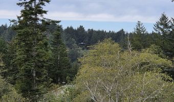 96420 ALDER RIDGE Rd, Brookings, OR 97415