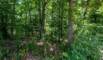 14600 Canyon Road Lot 8 & 9, Bella Vista, AR 72715