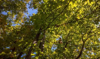 County Road 204, Alton, MO 65606