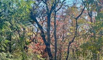 Lot 17 Farm Loop Road, Banner Elk, NC 28604