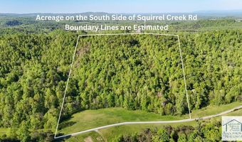 1619 Squirrel Creek Rd, Ararat, VA 24053