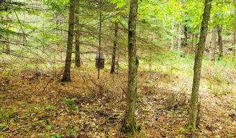 V/L 20AC Monaghan Point Road, Alpena, MI 49707