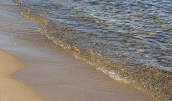 1205 Partridge Point Rd, Alpena, MI 49707