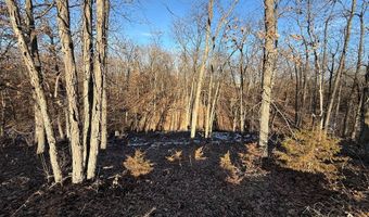 28196 Highway J, Atlanta, MO 63530