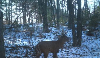 8752 HWY A, Almond, WI 54909