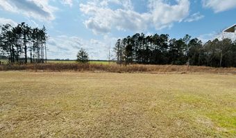 895 Cannonville Rd, Abbeville, GA 31001