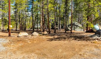 265 Placer Dr Lot 10, Alma, CO 80420