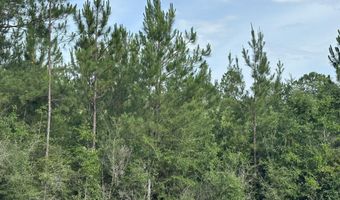 80 AC Old River Rd, Baker, FL 32531