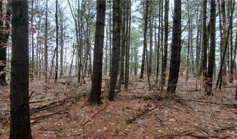 Sweet Point Rd, Alexandria Bay, NY 13607