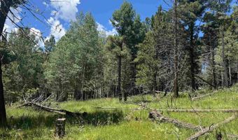 Calle de los Indios lot 44, Angel Fire, NM 87710