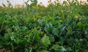 0000 450th Rd, Bassett, NE 68714