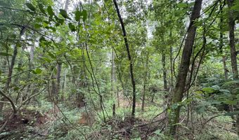 32505 Chapel Pine Drive Lot Cdt4, Albany, LA 70711