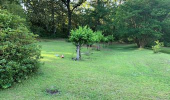 115 Carter Ridge Rd, Abbeville, AL 36310