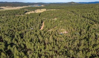 15 Co Rd 2083, Alpine, AZ 85920