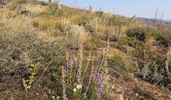 Pine Acres Rd, Bellvue, CO 80512