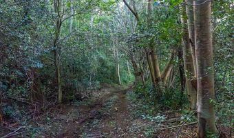 3310 WAWAE Rd, Kalaheo, HI 96741