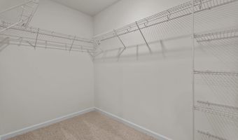 41 Honeycutt Oaks Dr Plan: BELHAVEN, Angier, NC 27501