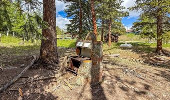 412 Highway 7 Business, Allenspark, CO 80510