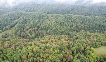 1515 Ned Clark Rd, Bean Station, TN 37708