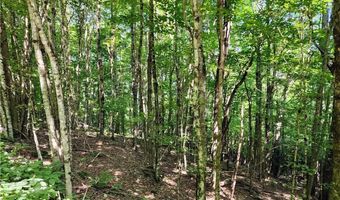 Tbd Old Mountain Road, Banner Elk, NC 28604