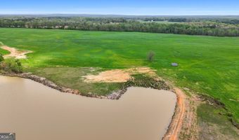 377 Acres Brent, Barnesville, GA 30204
