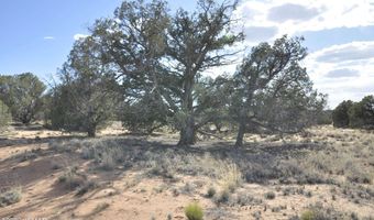 176 CR N5549, Concho, AZ 85924