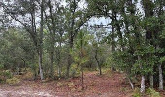 4539 NW Miller/White LN Rd, Altha, FL 32421