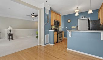 41973 BLUE FLAG Ter, Aldie, VA 20105