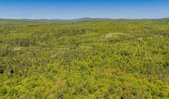 131 Gales Rd, Abbot, ME 04406