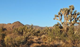 2624 S Gold Mine Rd, Yucca, AZ 86438