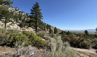 Kingsbury Grade, Gardnerville, NV 89460