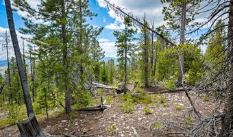 NHN Rosa Trail, Anaconda, MT 59711