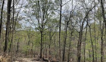State Hwy N Tract G, Ava, MO 65608