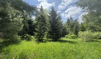 LOT 2 E WEST RESORT ROAD, Alanson, MI 49706