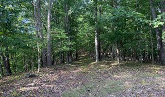 572 Dameron Rd, Ballard, WV 24918