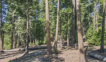 403 Sierra Pkwy, Camp Connell, CA 95223