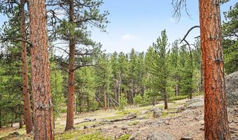 12190 Highway 7, Allenspark, CO 80510