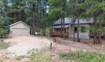 100 Onate, Angel Fire, NM 87710