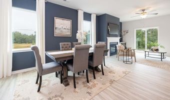 13109 Bristlehead Way, Charlotte, NC 28215