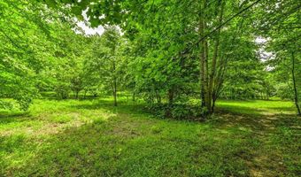 Stone Ridge Drive, Andersonville, TN 37705