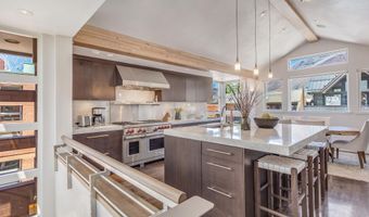 708 E Hyman Ave, Aspen, CO 81611