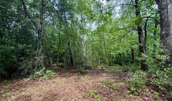 1551 Buckatunna Chicora Clara Rd, Buckatunna, MS 39322