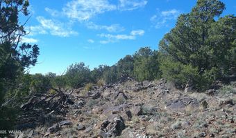 142 County Road 8020, Concho, AZ 85924