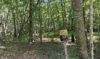 3 Clear Fork Creek Rd 31, Bastian, VA 24314