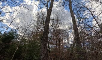 Saint John Road, Braxton, MS 39044