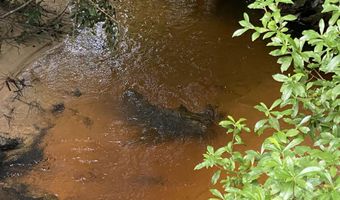 31 Acres Canyon Trl, Baker, FL 32531