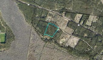 Lot 16 Forest Trace, Waverly, GA 31565
