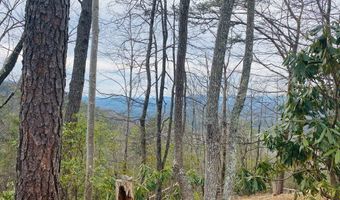 Lot 46 Ridge View Drive, Andrews, NC 28901