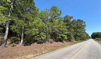 3 Highway 790, Ackerman, MS 38963
