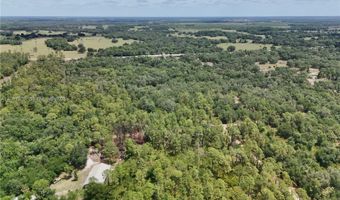 SW Nassau Ave, Arcadia, FL 34266